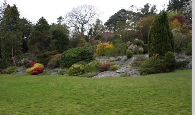 Lake Lodge Guesthouse Killarney Exterior foto
